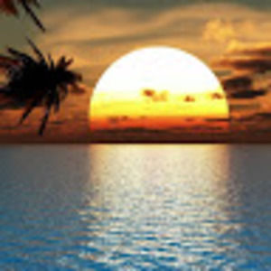 Meet your Posher, Justine